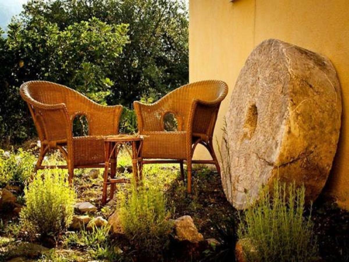 Il Giardino Di Julia B&B Tortora Exterior foto