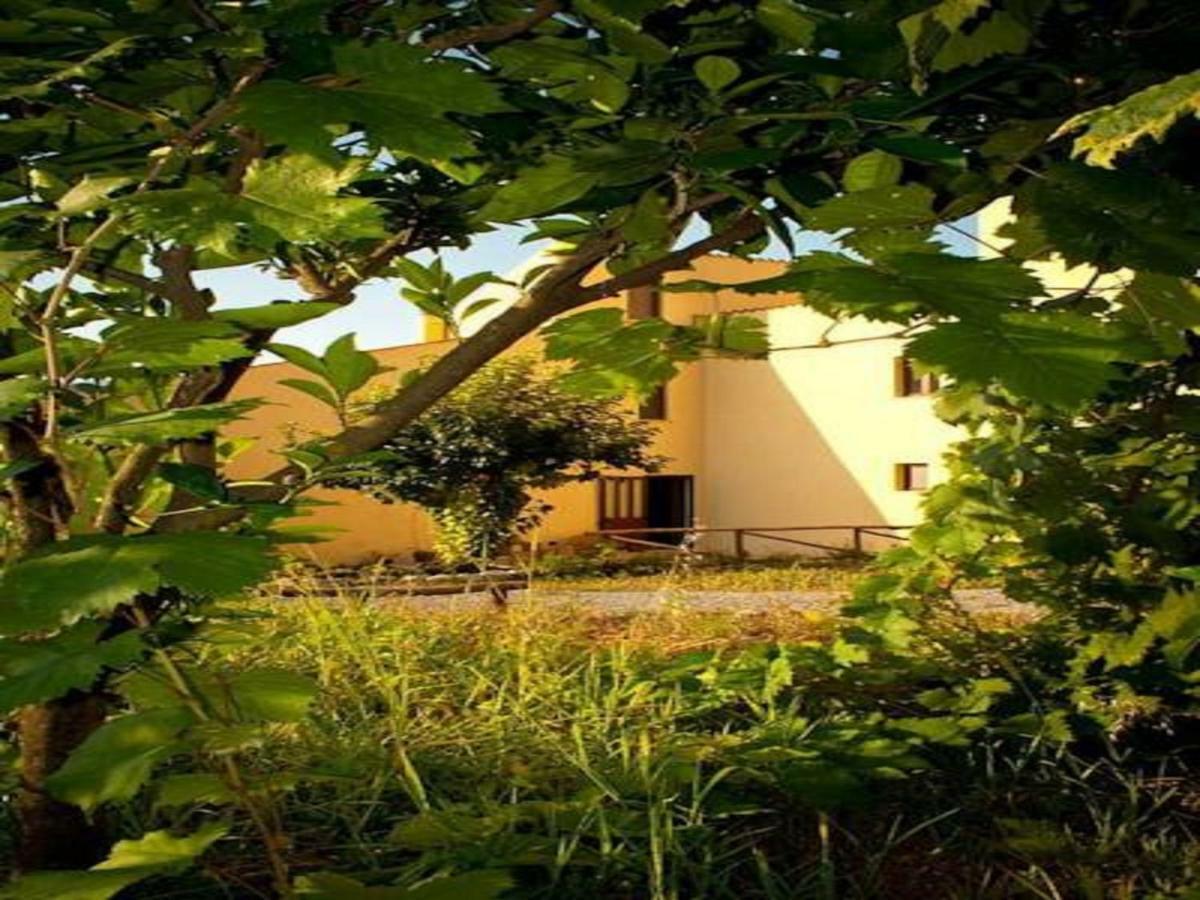 Il Giardino Di Julia B&B Tortora Exterior foto